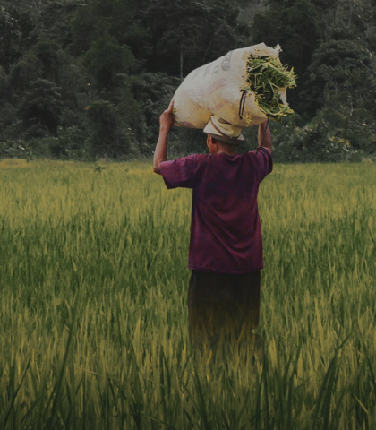Gratë fermere në Maqedoninë e Veriut përballen me paragjykimeve të shekullit të kaluar
