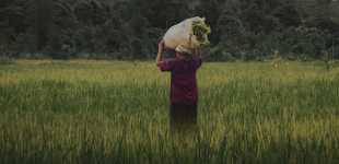 Gratë fermere në Maqedoninë e Veriut përballen me paragjykimeve të shekullit të kaluar